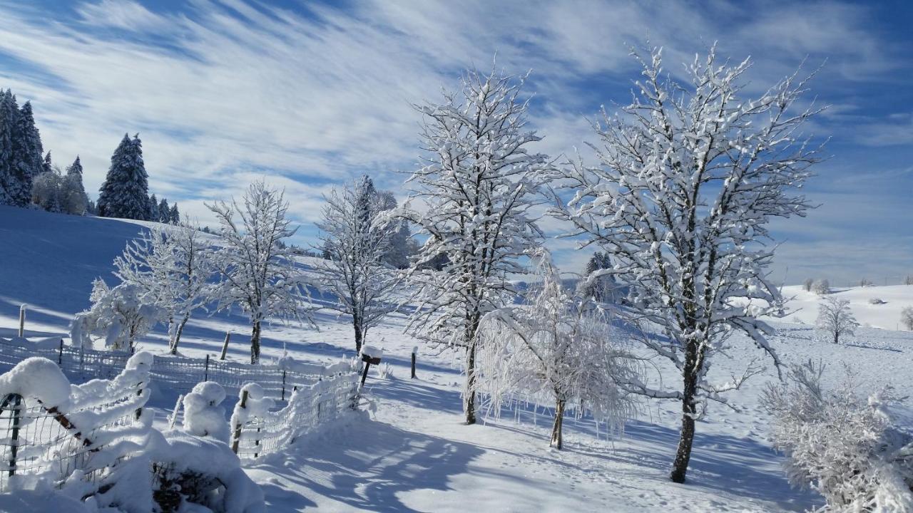 Mv Vacances Les Rousses Dış mekan fotoğraf
